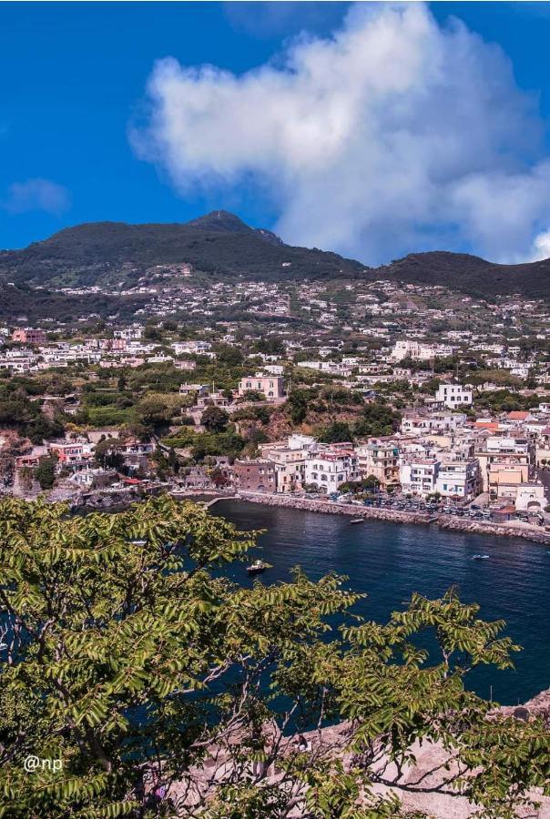 Bed and Breakfast La Finestra sul Mare Ischia Esterno foto